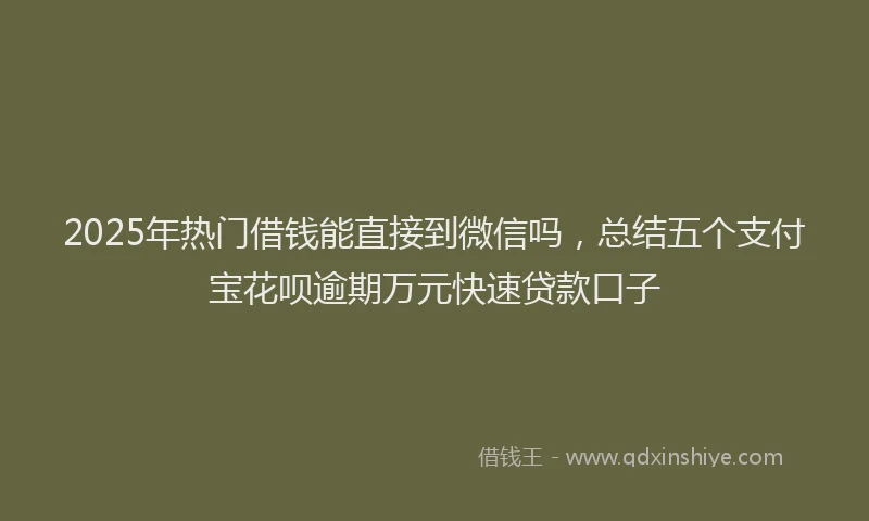 2025年热门借钱能直接到微信吗，总结五个支付宝花呗逾期万元快速贷款口子