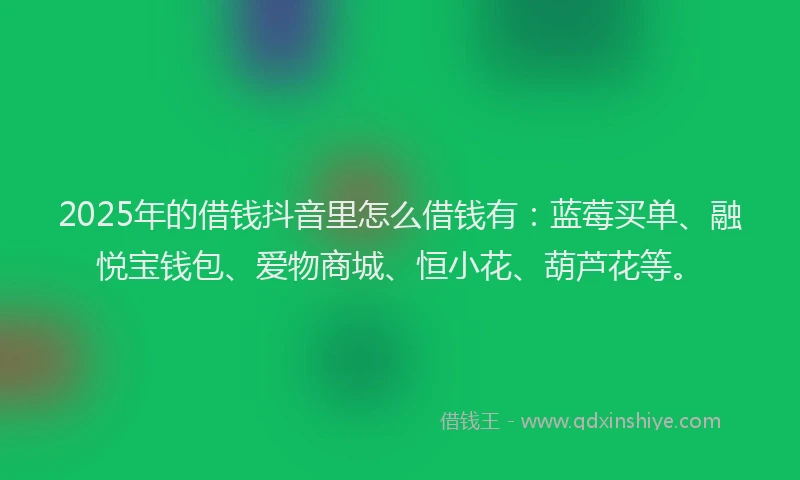 2025年的借钱抖音里怎么借钱有：蓝莓买单、融悦宝钱包、爱物商城、恒小花、葫芦花等。