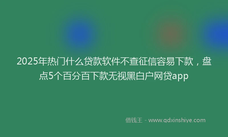 2025年热门什么贷款软件不查征信容易下款，盘点5个百分百下款无视黑白户网贷app