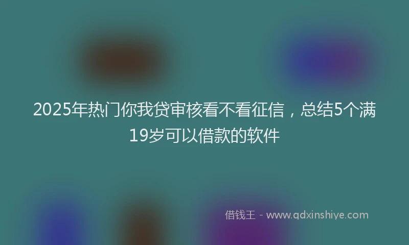 2025年热门你我贷审核看不看征信，总结5个满19岁可以借款的软件