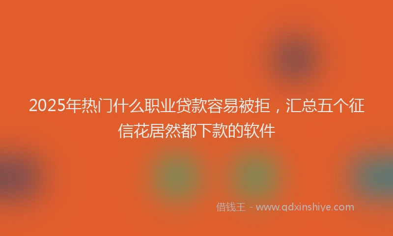 2025年热门什么职业贷款容易被拒，汇总五个征信花居然都下款的软件