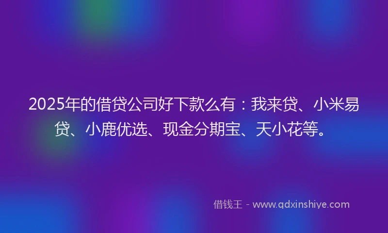2025年的借贷公司好下款么有：我来贷、小米易贷、小鹿优选、现金分期宝、天小花等。