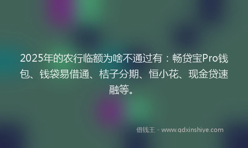 2025年的农行临额为啥不通过有：畅贷宝Pro钱包、钱袋易借通、桔子分期、恒小花、现金贷速融等。