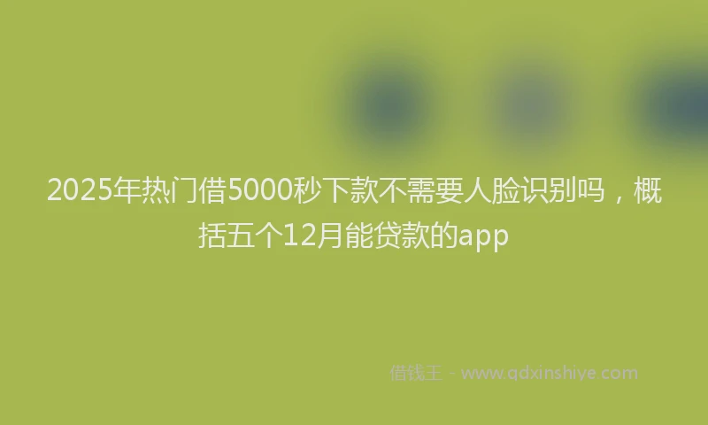 2025年热门借5000秒下款不需要人脸识别吗，概括五个12月能贷款的app