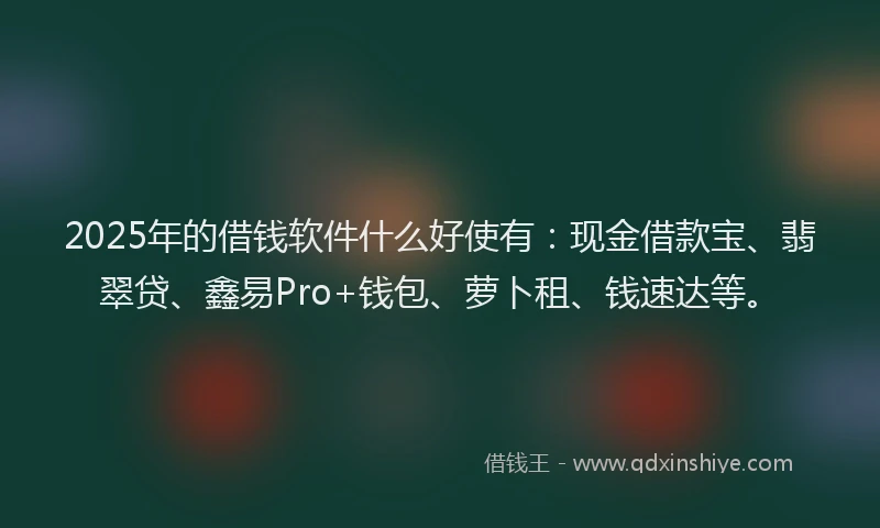 2025年的借钱软件什么好使有：现金借款宝、翡翠贷、鑫易Pro+钱包、萝卜租、钱速达等。