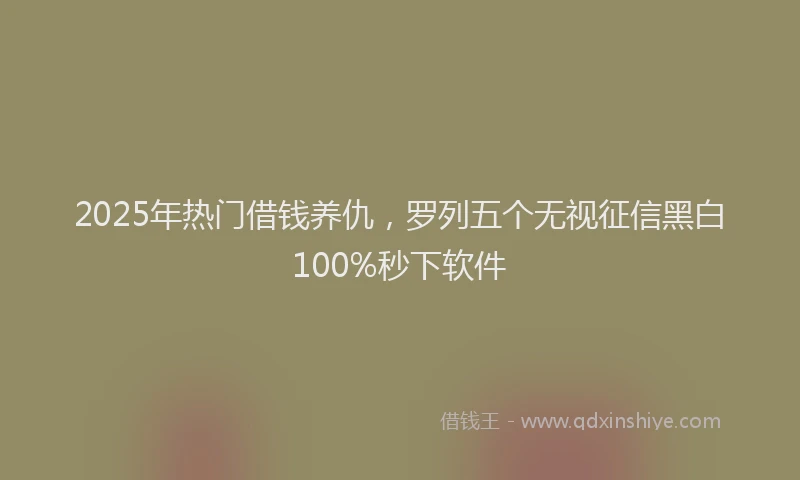 2025年热门借钱养仇，罗列五个无视征信黑白100%秒下软件