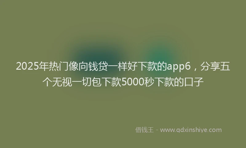 2025年热门像向钱贷一样好下款的app6，分享五个无视一切包下款5000秒下款的口子