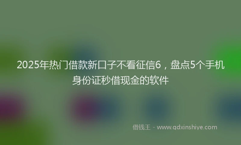 2025年热门借款新口子不看征信6，盘点5个手机身份证秒借现金的软件