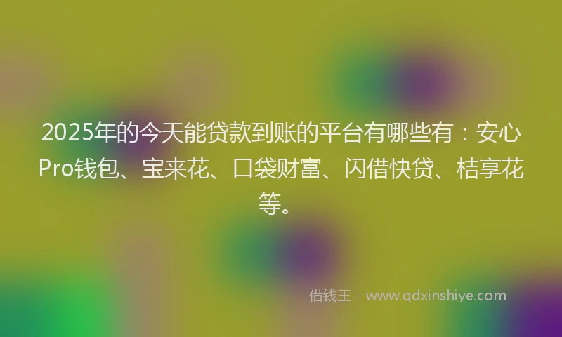 2025年的今天能贷款到账的平台有哪些有：安心Pro钱包、宝来花、口袋财富、闪借快贷、桔享花等。