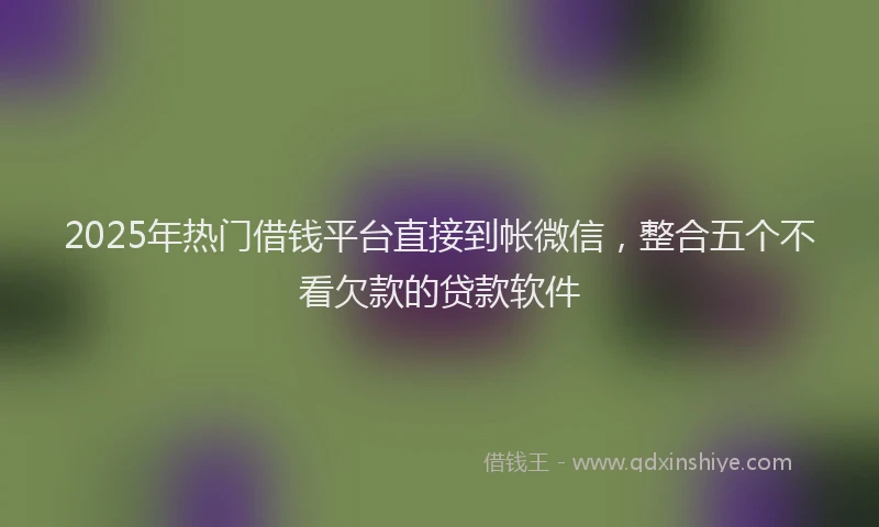 2025年热门借钱平台直接到帐微信，整合五个不看欠款的贷款软件