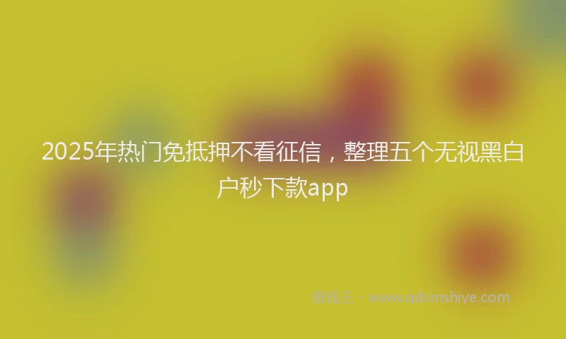 2025年热门免抵押不看征信，整理五个无视黑白户秒下款app