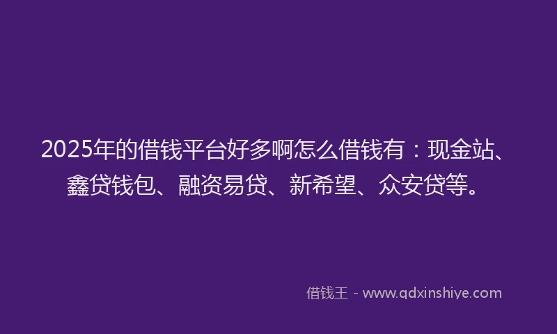 2025年的借钱平台好多啊怎么借钱有：现金站、鑫贷钱包、融资易贷、新希望、众安贷等。