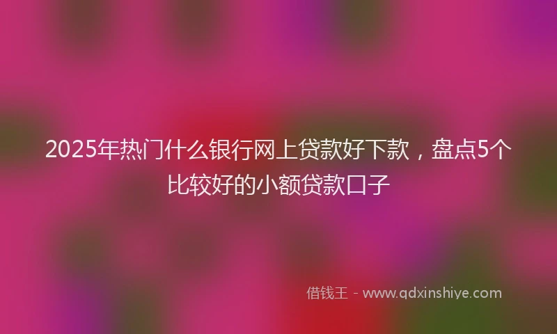 2025年热门什么银行网上贷款好下款，盘点5个比较好的小额贷款口子
