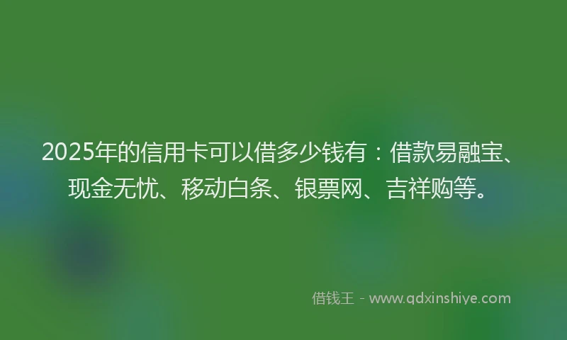 2025年的信用卡可以借多少钱有：借款易融宝、现金无忧、移动白条、银票网、吉祥购等。