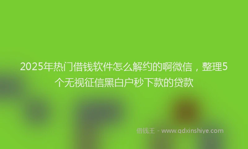 2025年热门借钱软件怎么解约的啊微信，整理5个无视征信黑白户秒下款的贷款
