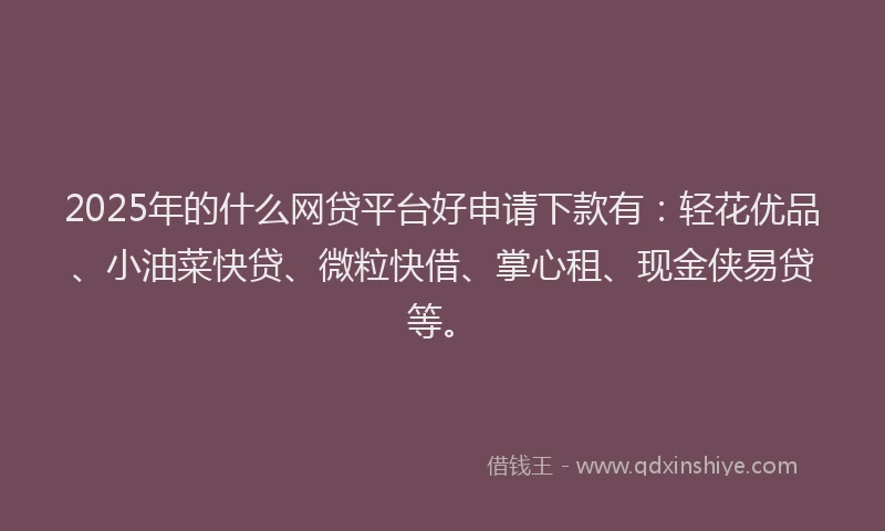 2025年的什么网贷平台好申请下款有：轻花优品、小油菜快贷、微粒快借、掌心租、现金侠易贷等。