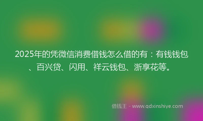 2025年的凭微信消费借钱怎么借的有：有钱钱包、百兴贷、闪用、祥云钱包、浙享花等。
