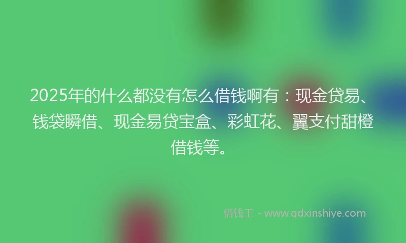 2025年的什么都没有怎么借钱啊有：现金贷易、钱袋瞬借、现金易贷宝盒、彩虹花、翼支付甜橙借钱等。