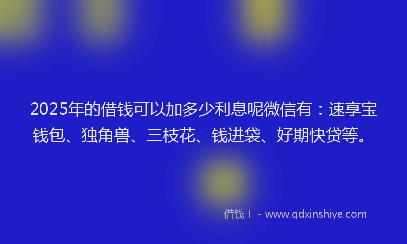 2025年的借钱可以加多少利息呢微信有：速享宝钱包、独角兽、三枝花、钱进袋、好期快贷等。