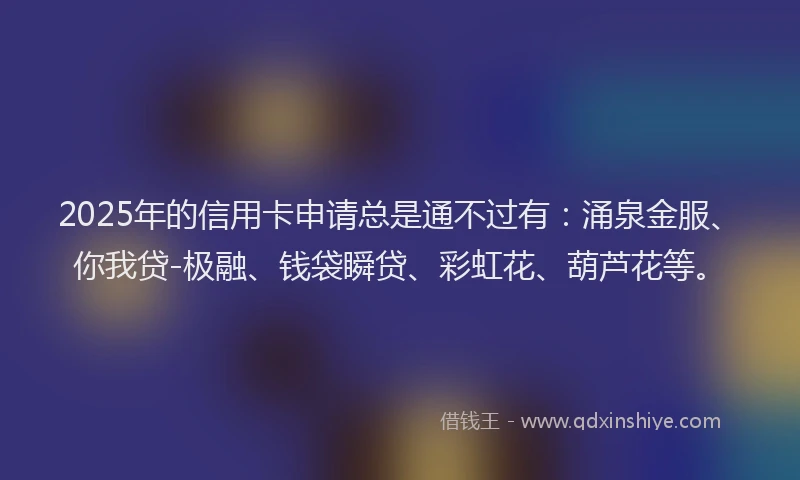 2025年的信用卡申请总是通不过有：涌泉金服、你我贷-极融、钱袋瞬贷、彩虹花、葫芦花等。