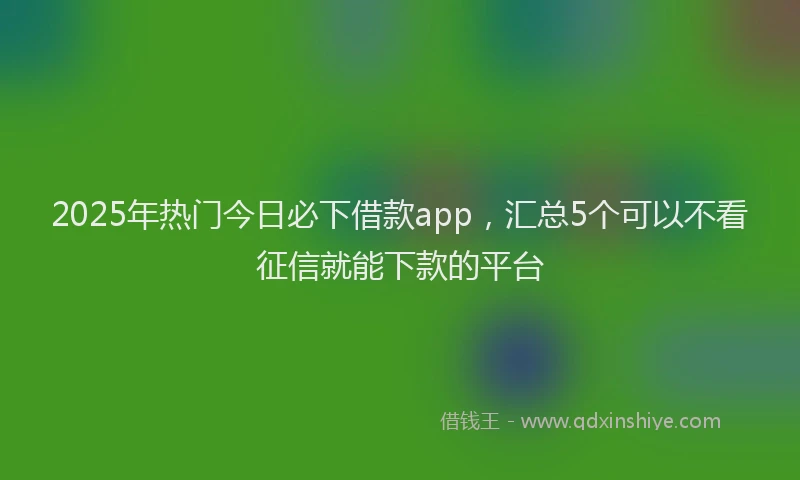 2025年热门今日必下借款app，汇总5个可以不看征信就能下款的平台