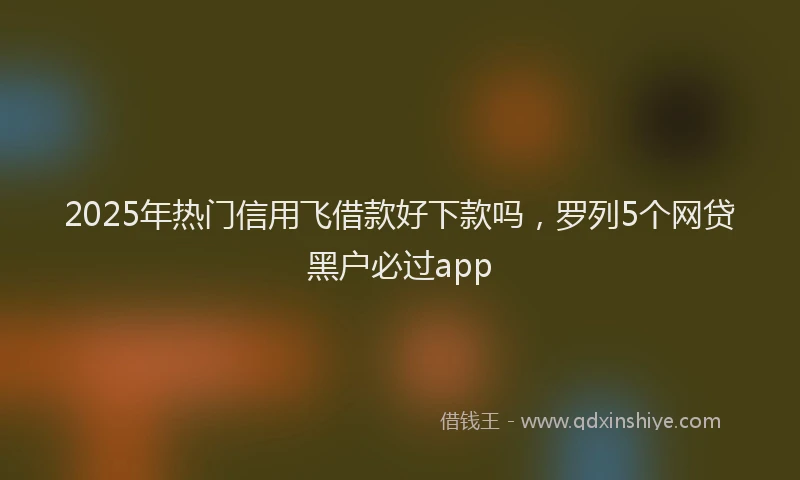 2025年热门信用飞借款好下款吗，罗列5个网贷黑户必过app