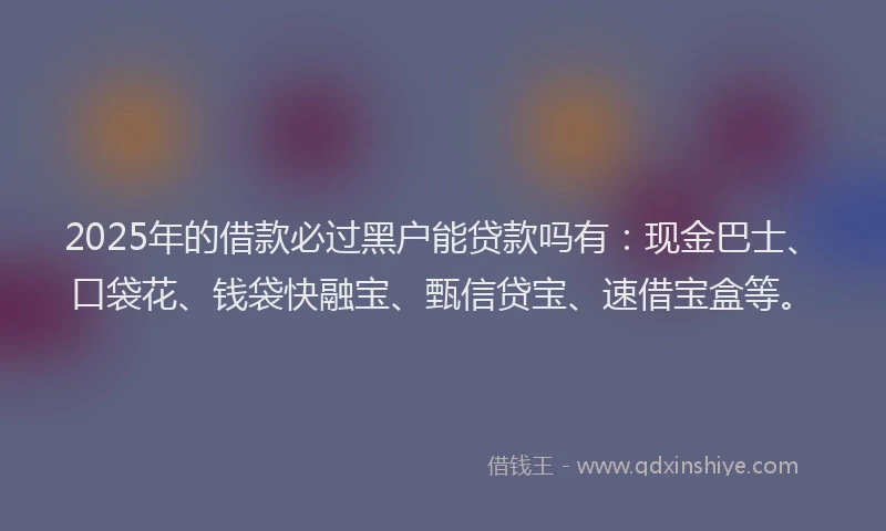 2025年的借款必过黑户能贷款吗有：现金巴士、口袋花、钱袋快融宝、甄信贷宝、速借宝盒等。