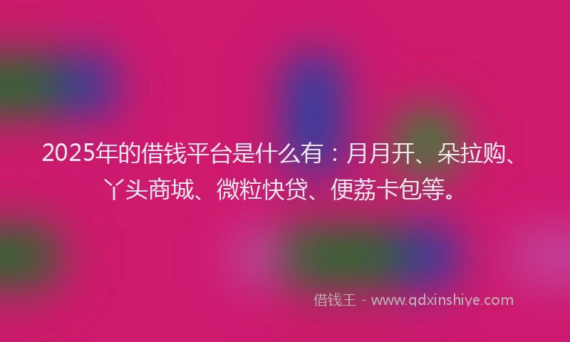 2025年的借钱平台是什么有：月月开、朵拉购、丫头商城、微粒快贷、便荔卡包等。