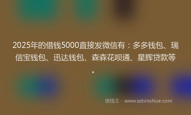 2025年的借钱5000直接发微信有：多多钱包、瑞信宝钱包、迅达钱包、森森花呗通、星辉贷款等。