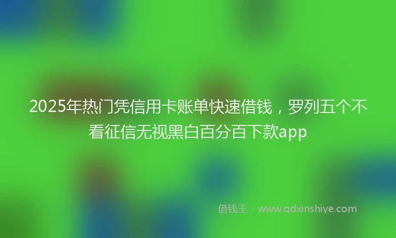 2025年热门凭信用卡账单快速借钱，罗列五个不看征信无视黑白百分百下款app