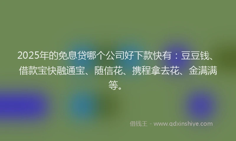 2025年的免息贷哪个公司好下款快有：豆豆钱、借款宝快融通宝、随信花、携程拿去花、金满满等。