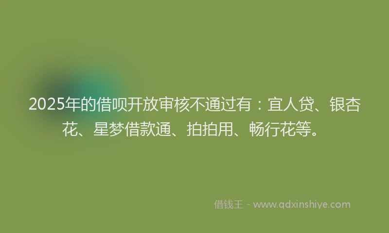 2025年的借呗开放审核不通过有：宜人贷、银杏花、星梦借款通、拍拍用、畅行花等。