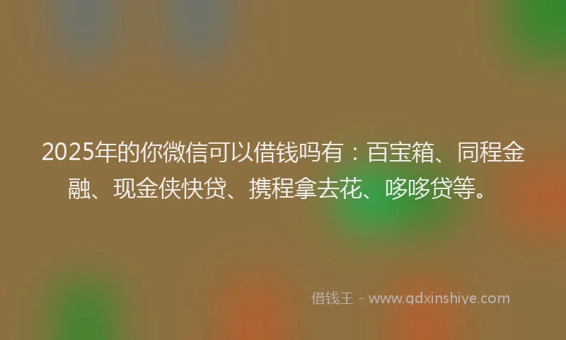 2025年的你微信可以借钱吗有：百宝箱、同程金融、现金侠快贷、携程拿去花、哆哆贷等。