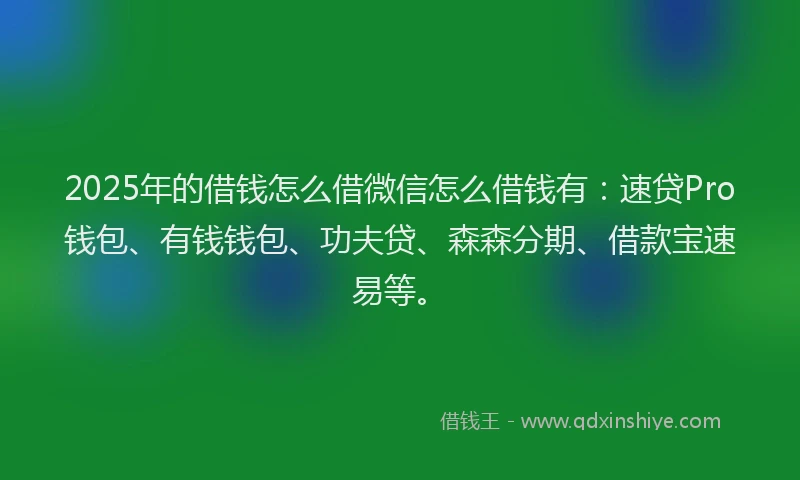 2025年的借钱怎么借微信怎么借钱有：速贷Pro钱包、有钱钱包、功夫贷、森森分期、借款宝速易等。