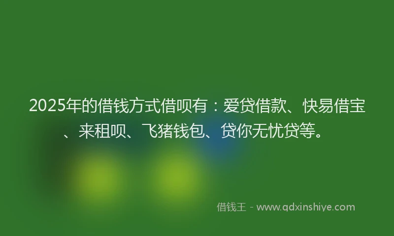 2025年的借钱方式借呗有：爱贷借款、快易借宝、来租呗、飞猪钱包、贷你无忧贷等。