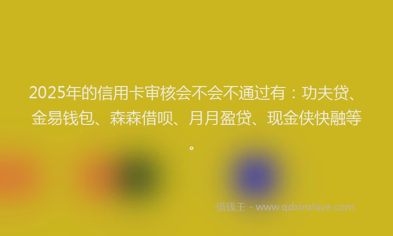 2025年的信用卡审核会不会不通过有：功夫贷、金易钱包、森森借呗、月月盈贷、现金侠快融等。