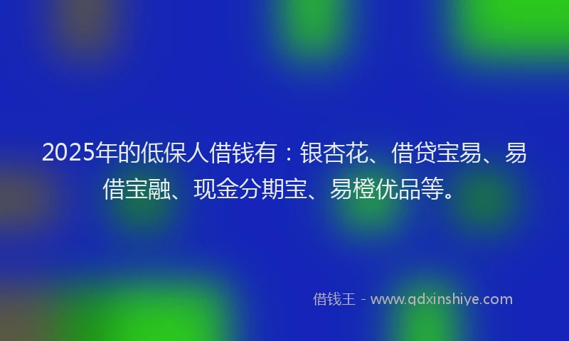 2025年的低保人借钱有：银杏花、借贷宝易、易借宝融、现金分期宝、易橙优品等。