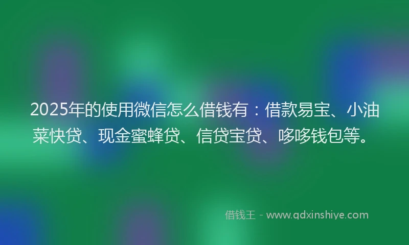 2025年的使用微信怎么借钱有：借款易宝、小油菜快贷、现金蜜蜂贷、信贷宝贷、哆哆钱包等。