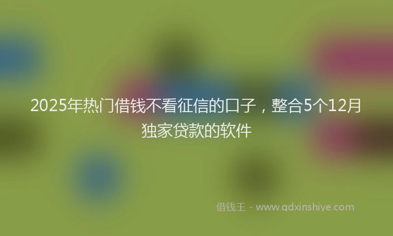 2025年热门借钱不看征信的口子，整合5个12月独家贷款的软件