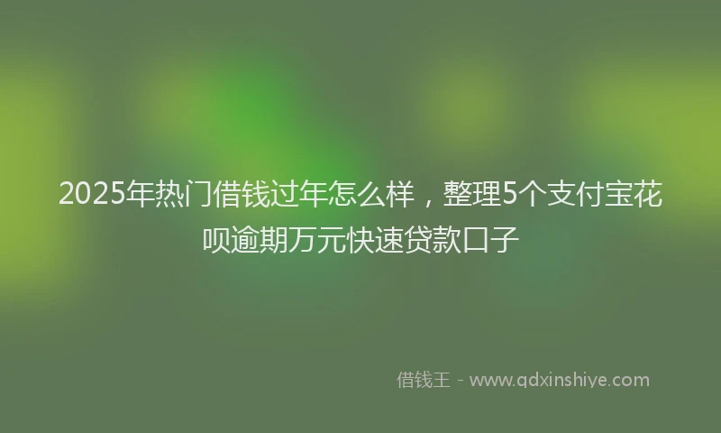 2025年热门借钱过年怎么样，整理5个支付宝花呗逾期万元快速贷款口子