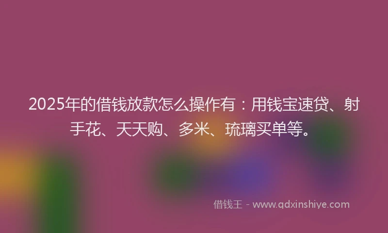 2025年的借钱放款怎么操作有：用钱宝速贷、射手花、天天购、多米、琉璃买单等。