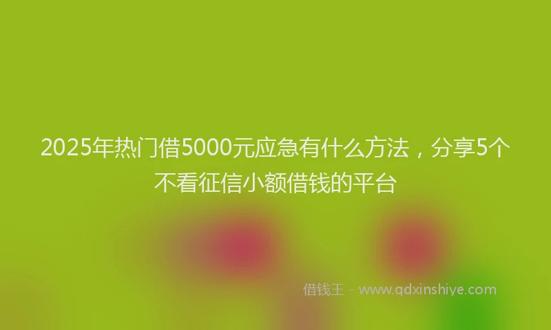 2025年热门借5000元应急有什么方法，分享5个不看征信小额借钱的平台