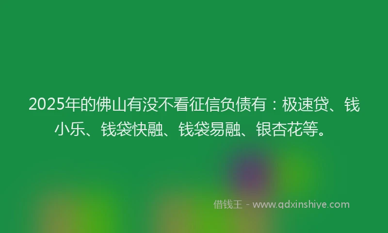 2025年的佛山有没不看征信负债有：极速贷、钱小乐、钱袋快融、钱袋易融、银杏花等。