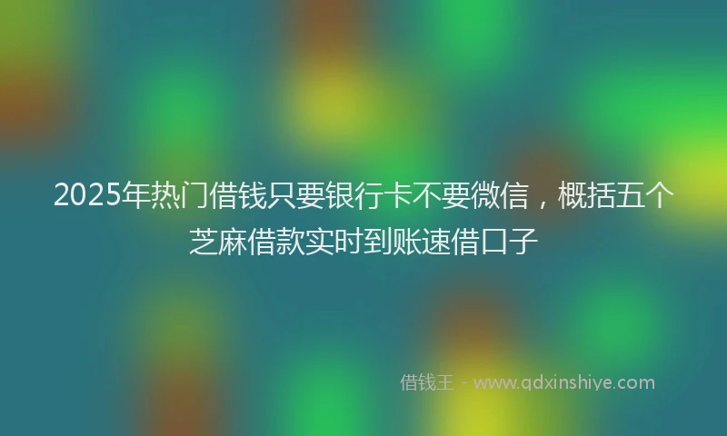 2025年热门借钱只要银行卡不要微信，概括五个芝麻借款实时到账速借口子