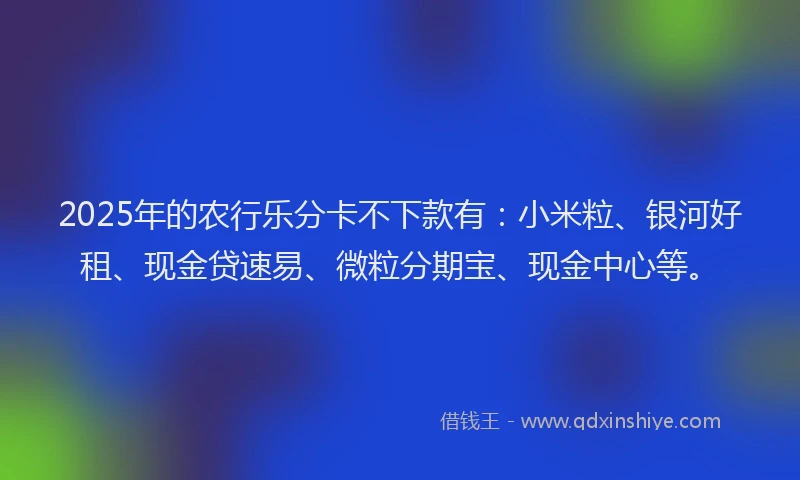 2025年的农行乐分卡不下款有：小米粒、银河好租、现金贷速易、微粒分期宝、现金中心等。