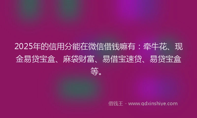 2025年的信用分能在微信借钱嘛有：牵牛花、现金易贷宝盒、麻袋财富、易借宝速贷、易贷宝盒等。