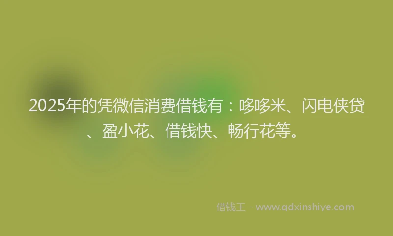 2025年的凭微信消费借钱有：哆哆米、闪电侠贷、盈小花、借钱快、畅行花等。