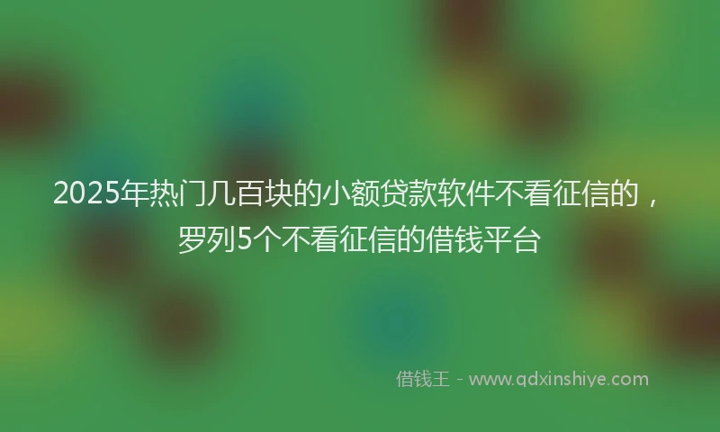 2025年热门几百块的小额贷款软件不看征信的，罗列5个不看征信的借钱平台