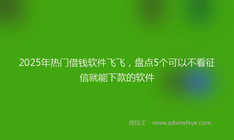 2025年热门借钱软件飞飞，盘点5个可以不看征信就能下款的软件