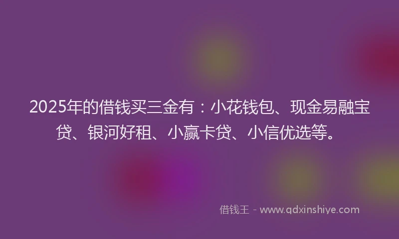 2025年的借钱买三金有：小花钱包、现金易融宝贷、银河好租、小赢卡贷、小信优选等。